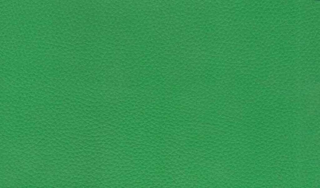 Экокожа, винилискожа, искусственная кожа (710 Зеленый)