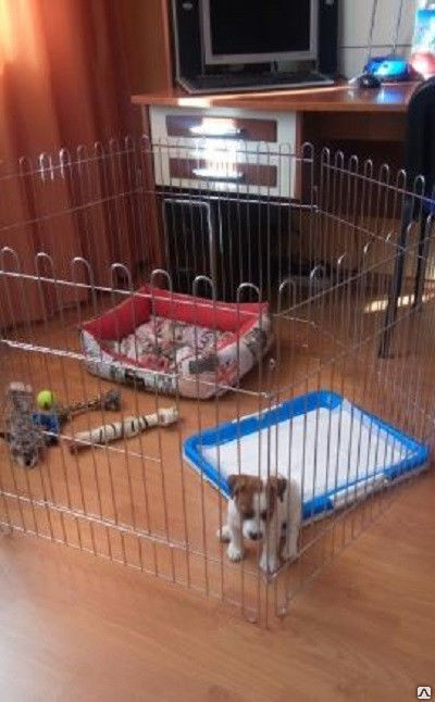 Купить вольеры и клетки для собак в интернет магазине конференц-зал-самара.рф