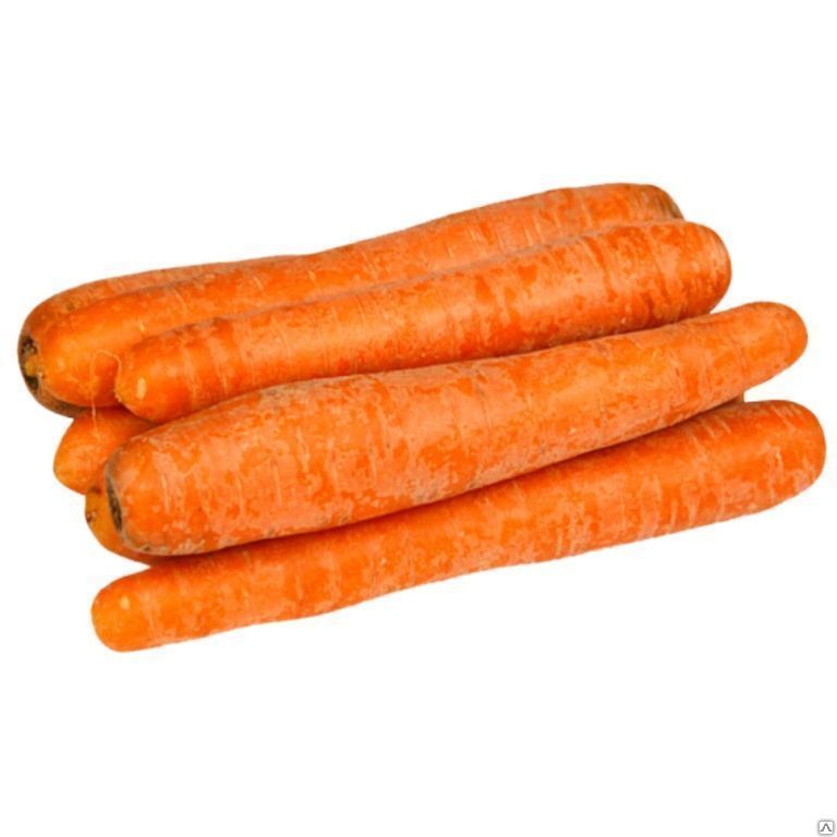 Морковь столовая мытая фасованная фирменная упаковка "Эко-ферма"