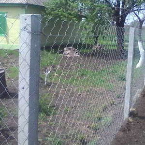 Забор из сетки рабицы на жб столбах