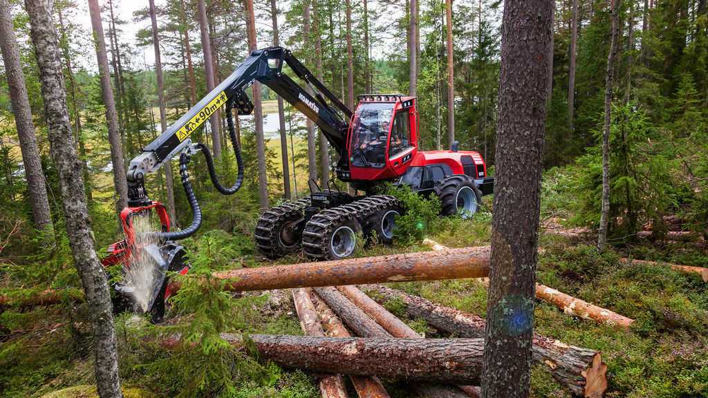 Валка леса - причины, техника выполнения, инструкции и безопасность