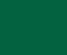 Краска колеровочная (альб.2012) зелёная 0.25 кг VGT