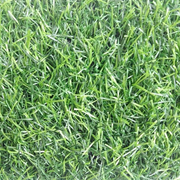 Трава искусственная Ecogreen 20