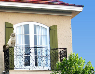 Окна, двери, балконы ПВХ профиль Элекс ( Elex ) от завода Горница #1