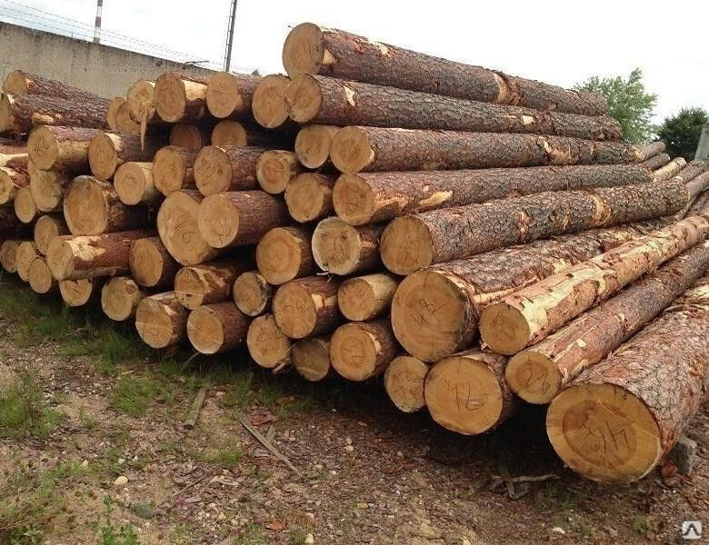 Купить 1 Куб Сосны